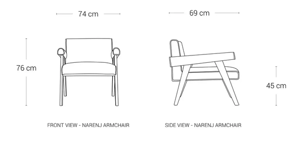 image of Narenj Single Sofa