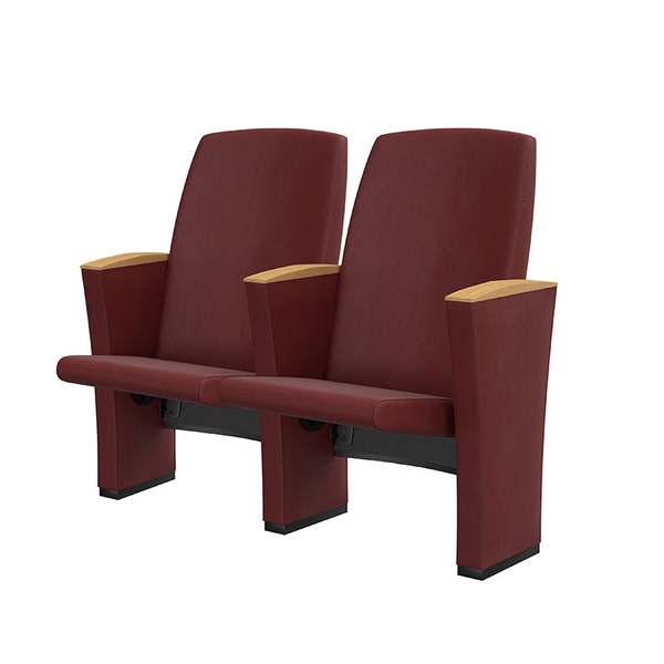 تصویر صندلی آمفی تئاتر ۳۰۱۰