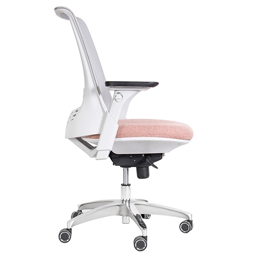 تصویر صندلی کارشناسی X81gsp