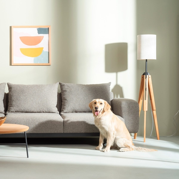 image of Kido small light
