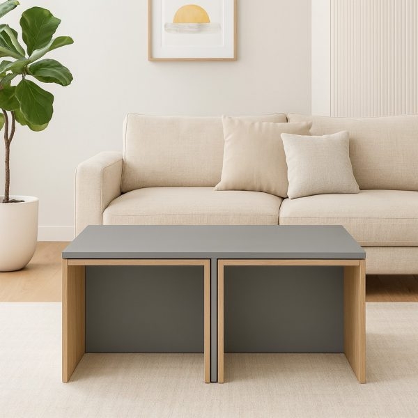 تصویر میز جلومبلی مدل K1 با 4 عدد عسلی