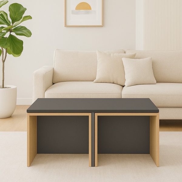 تصویر میز جلومبلی مدل K1 با 4 عدد عسلی