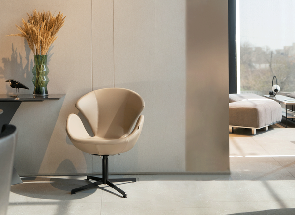 تصویر نوارا