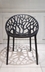 image of Shakh-o-Barg Chair