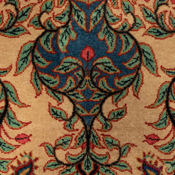 image of