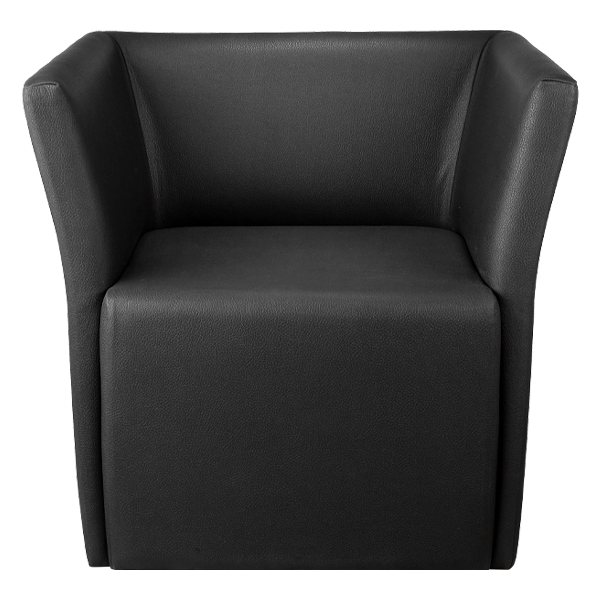 image of Kasra Armchair M191