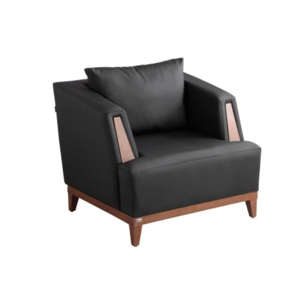 image of F200N1 Single Sofa  