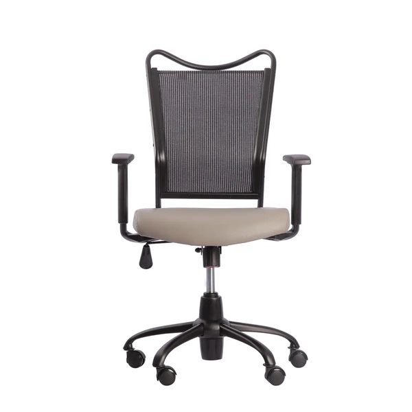 تصویر صندلی کارشناسی TBE کد ۱۷۲