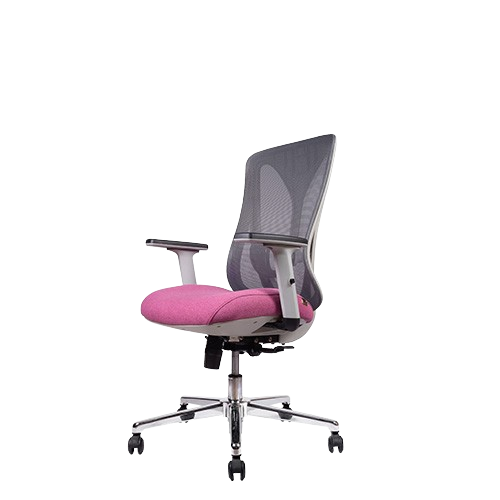 تصویر صندلی کارشناسی آراز EZ2301TK