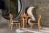 image of Hima chair with wooden backrest
