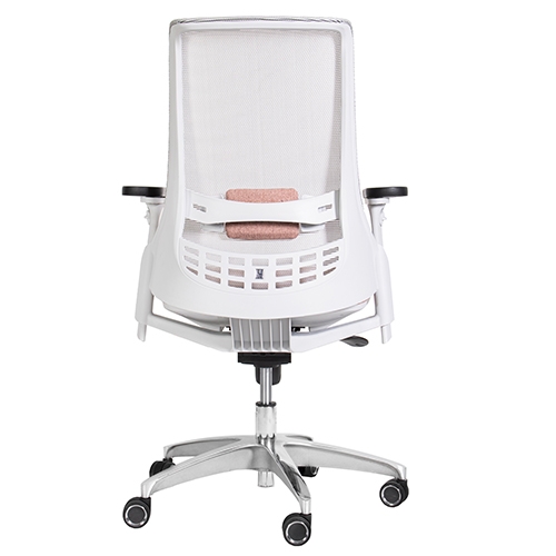 تصویر صندلی کارشناسی X81gsp