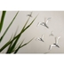image of W6600 small decor