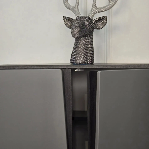 image of Onyx Shoe Cabinet